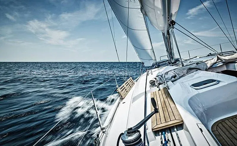 vsports官网入口遥望科技《2021年度最受关注的足球运动员重要赛事排名TOP10 分享：谁是最闪耀的球场之星？》