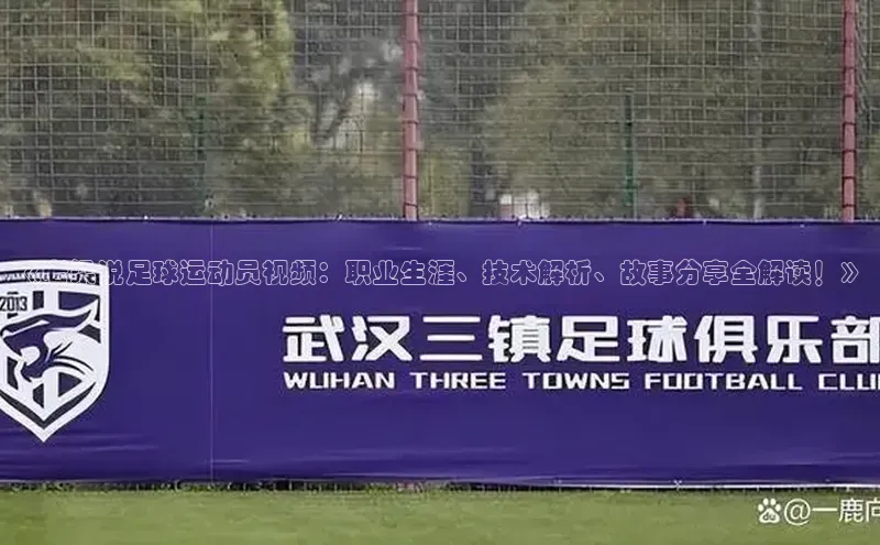 vsports - 胜利因您更精彩 含义光魔科技《老梁说足球运动员视频：职业生涯、技术解析、故事分享全解读！》