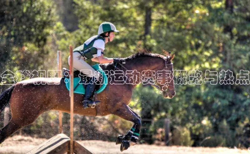 Vsport体育平台神思电子全球视野：最新运动赛事概览与热点