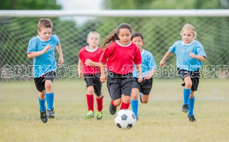 全球顶级体育盛事：最昂贵的年度赛事