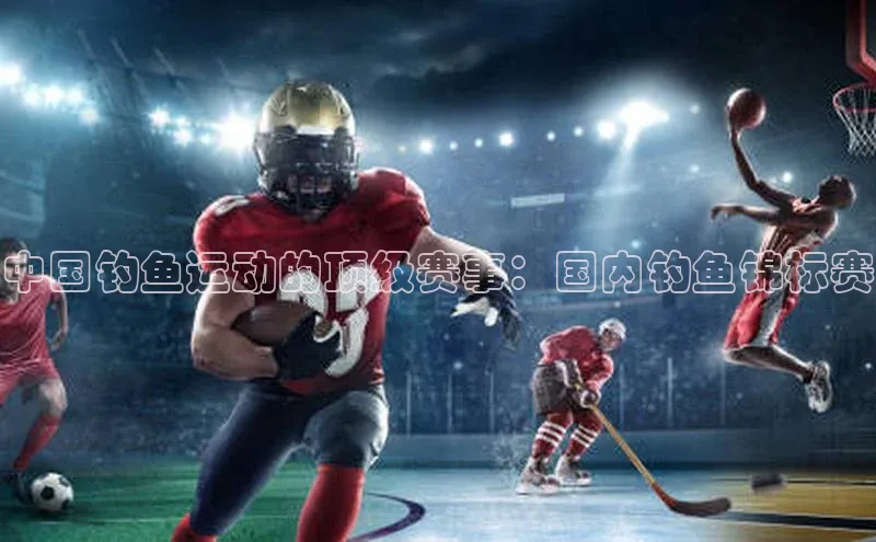 中国钓鱼运动的顶级赛事：国内钓鱼锦标赛