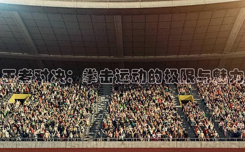 王者对决：拳击运动的极限与魅力