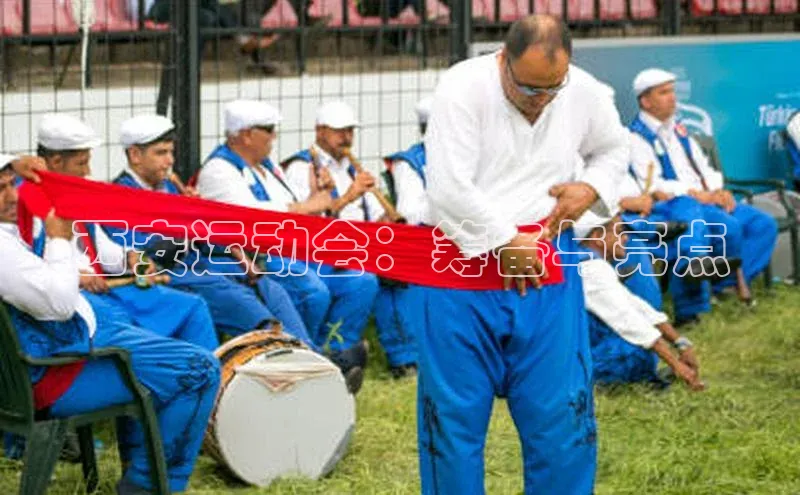 西安运动会：筹备与亮点