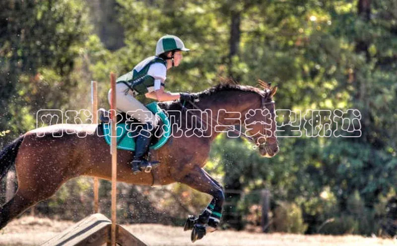 网球比赛规则与类型概述