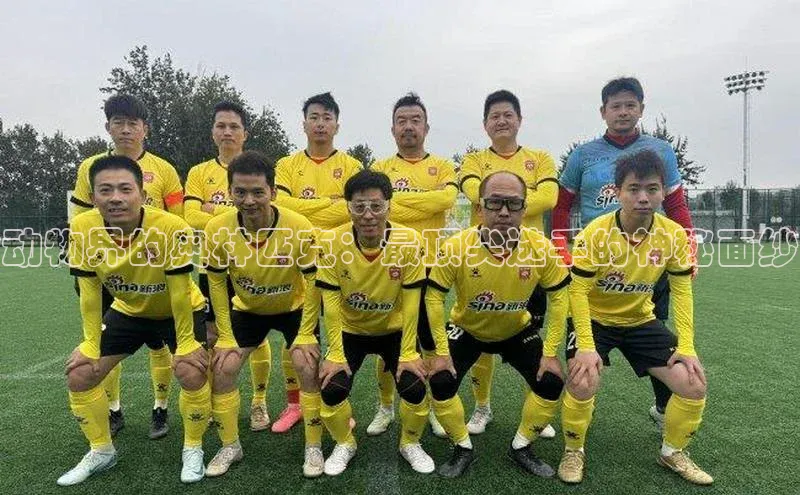 动物界的奥林匹克：最顶尖选手的神秘面纱