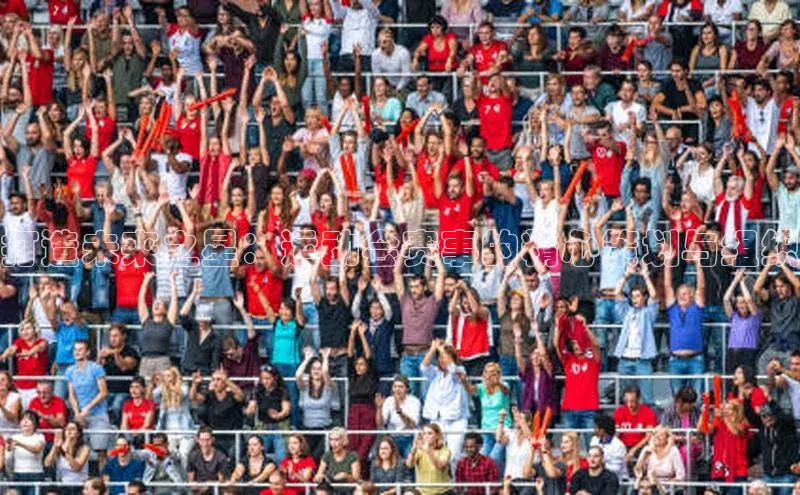 打造未来之星：运动会赛事的精心策划与组织