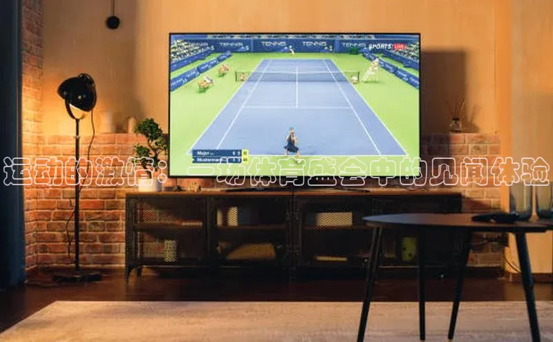 运动的激情：一场体育盛会中的见闻体验