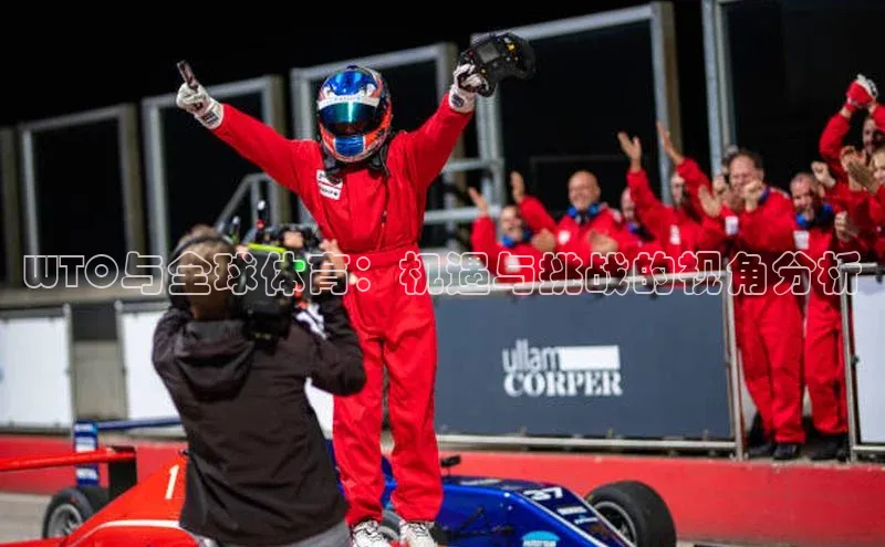 WTO与全球体育：机遇与挑战的视角分析