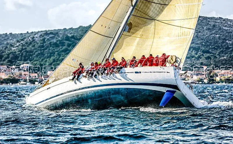 赛事限量版：专为汗水设计的完美水壶