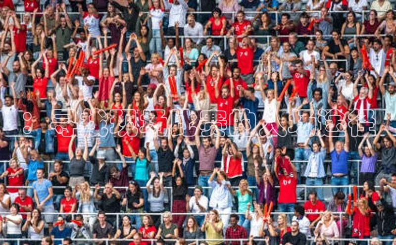 vsport-胜利因官网入口