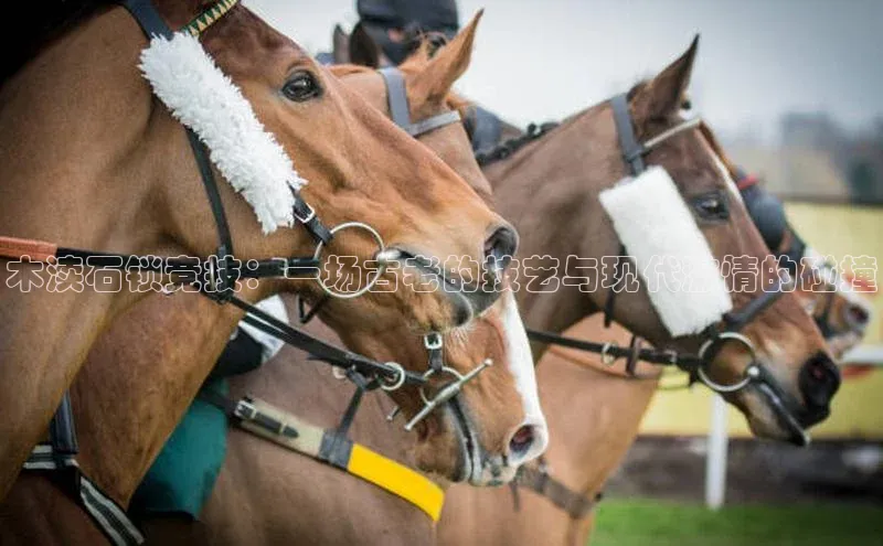 vsports 胜利因您更精彩阿根廷