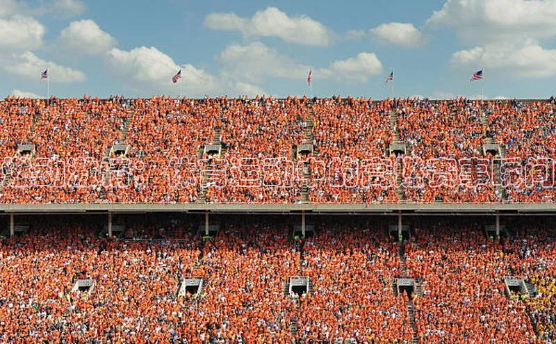 V·体育官方网站